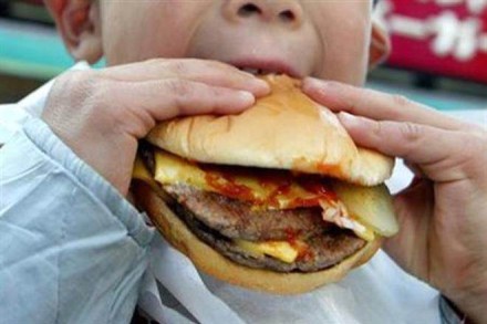 The CSE’s EML tested 33 brands of junk food, including 14 samples of chips, namkeen (Indian savouries), instant noodles and instant soup and 19 samples of burgers, fries, fried chicken, pizza, sandwich and wraps.