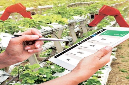Computer vision could aid in precision spraying which can help bring down the amount of chemicals that are sprayed on crops and reduce the herbicide expenditures. Computer vision could aid in precision spraying which can help bring down the amount of chemicals that are sprayed on crops and reduce the herbicide expenditures.