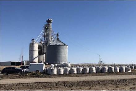 This will help to achieve its highest fuel Ethanol blending in petrol penetration at 5.8 per cent, compared to last year’s record of 4.1 per cent. (Representational image)
