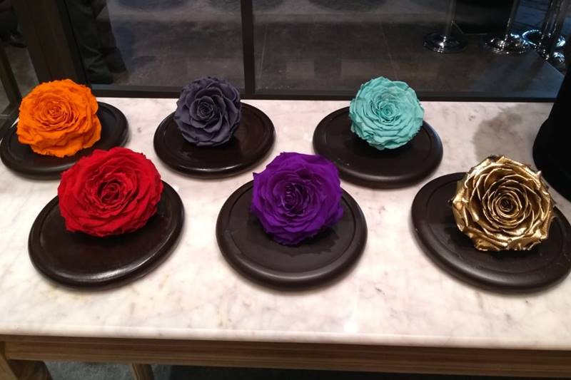 immortal roses, immortal rose flowers, Beautiful rose flowers, rose flowers, roses, flowers, Embassy of Ecuador, Ecuador, India, India Ecuador relation, gift items