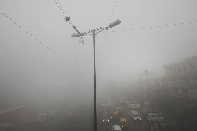fog in delhi, visibility in delhi, trains delayed today delhi, delhi train status, delhi air quality, delhi fog, fog in delhi today, delhi flight status, delhi fog today, fog forecast, dense fog, delhi weather, dense fog, flight delays today, delhi fog forecast, current visibility in delhi, flights delayed in delhi today, fog delhi, fog status in delhi, ek513 flight status