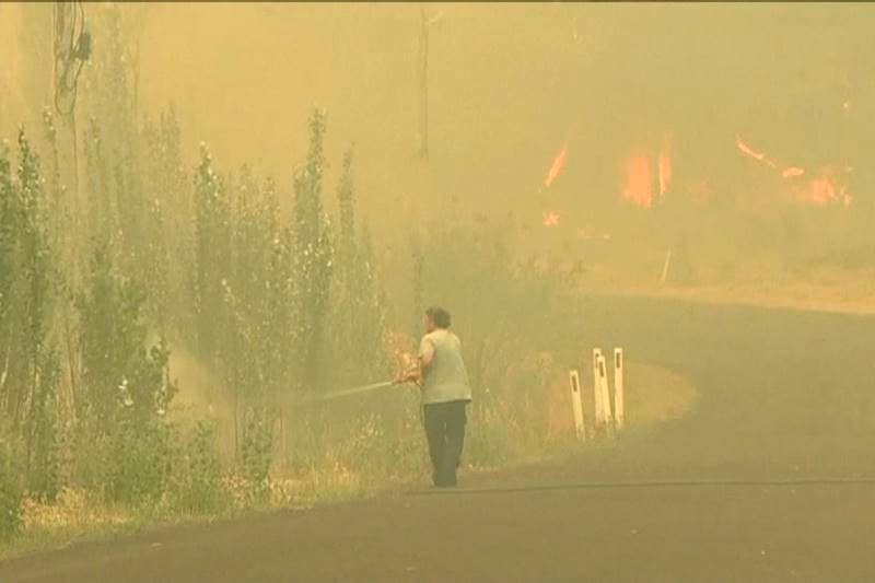 Australia bushfires, Australia fires, sydney bushfires, sydney fires, Australia bushfires latest, Australia bushfires news, catastrophic fire, catastrophic fire conditions, New South Wales