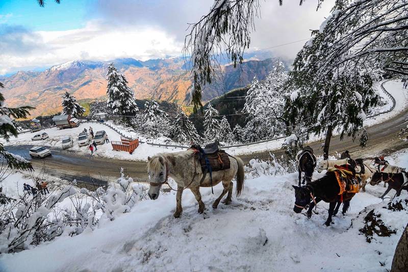 snowfall, snowfall in india, snowfall in shimla, snowfall in nainital, snowfall in manali, snowfall in himachal, snowfall today, snowfall in dalhousie, shimla snowfall, kashmir weather