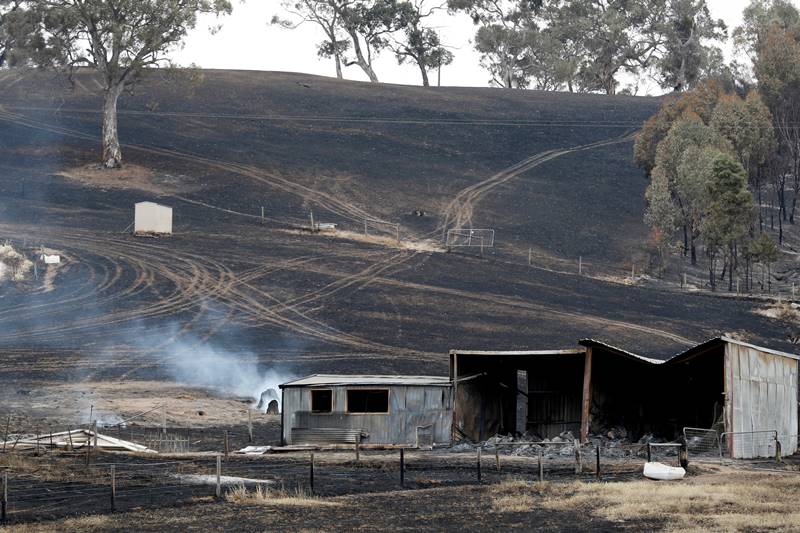 Australia bushfires, Australia fires, sydney bushfires, sydney fires, Australia bushfires latest, Australia bushfires news, catastrophic fire, catastrophic fire conditions, New South Wales