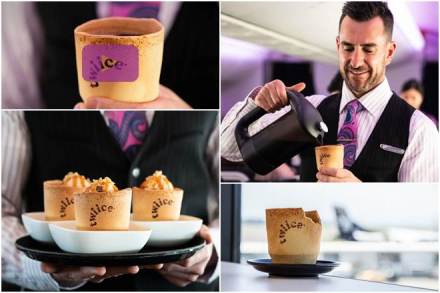 edible cup recipe, edible cups india, edible cup making machine, edible cups and plates, air new zealand edible cups, air new zealand edible coffee cups