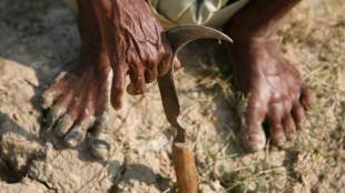 farmers suicides, data, India, top states in terms of farmers suicides