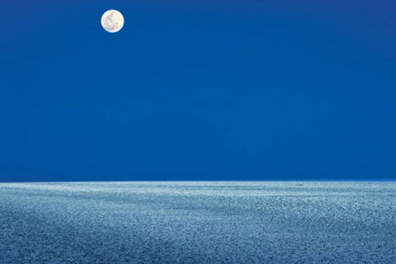 Rann Utsav, Rann Utsav 2019-2020, Rann Utsav 2020, gujarat white sand festival, gujarat festival, great rann of kutch, rann of kutch, white sand desert festival, gujarat tourism