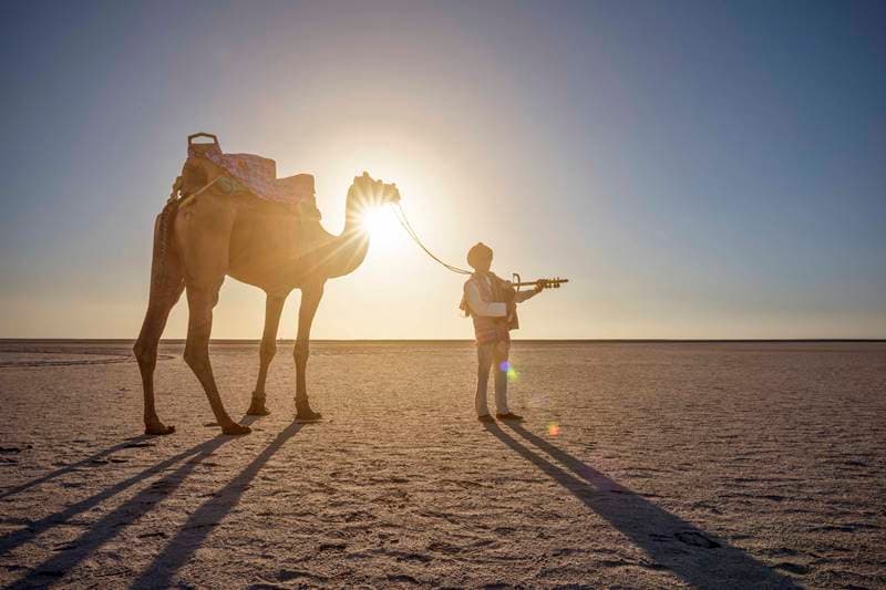 Rann Utsav, Rann Utsav 2019-2020, Rann Utsav 2020, gujarat white sand festival, gujarat festival, great rann of kutch, rann of kutch, white sand desert festival, gujarat tourism