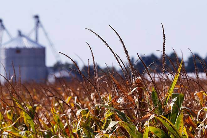 Agri goods, nominal gva, real gva, farmer income, farm produce, farm output, crop output, doubling farmers' income