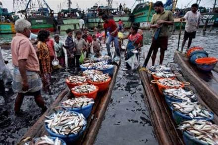 US imports, China, international fish trade, aquaculture producer, marine products imports, China customs, Globefish