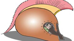 Insurance purchase, vanilla policies, GDP, POSP-LI, POS-Life, KFD document, micro insurance products, POS persons