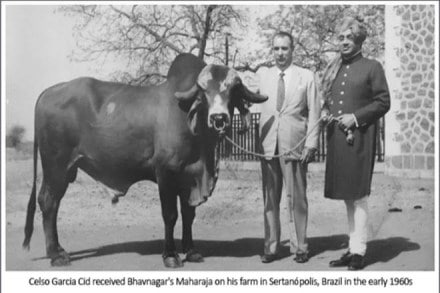 cattle population in India, Livestock Census, agrarian distress, Gir cattle, Zebu’ breeds, female cattle population