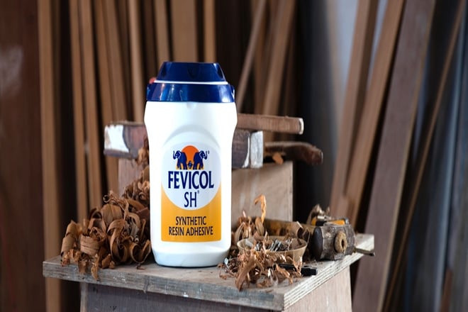 Fevicol maker Pidilite bets on this interior design startup; looks forward to collaboration