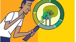 mutual fund, investor, mutual fund investor, mutual fund portfolio, mutual fund return, mutual fund investment, mutual fund meaning