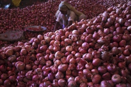 onion price, onion price slide, onion price reduction, kharif crop, rabi crop, 