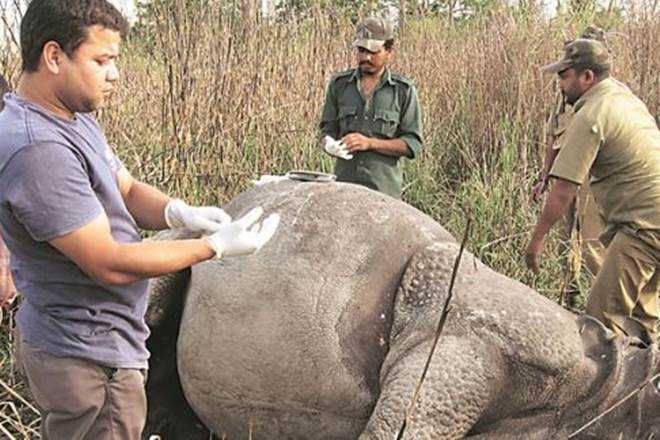Police Training College (PTC),wildlife,wildlife crimes,Dr Bibhab Kumar Talukdar,Kaziranga National Park,Jitmol Doley