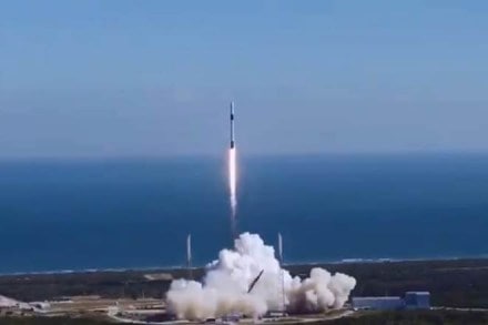 Forty mice are aboard, all adolescent females with black fur. (Twitter/SpaceX)