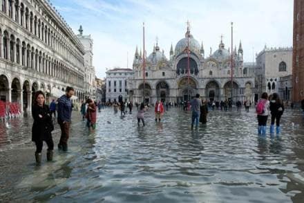 Venice, Venice floods, Venice tourism, Venice mark cathedral, St Mark Cathedral