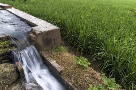 jal shakti, nirmala sitharaman, nal se jal, prime minister, water crisis, drinking water, sanitation, Budget 2020, Union Budget 2020 India, Budget 2020 India, Budget 2020-21