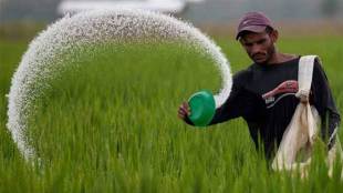 The manufacturers of non-urea fertilisers are given ‘uniform’ subsidy (on per nutrient basis) under the nutrient based scheme (NBS).