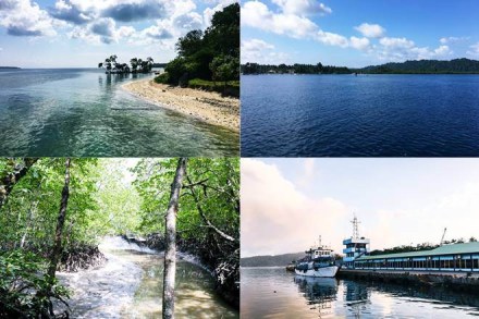 Port Blair and another seven islands in Andaman would get digitally connected through submarine optical fibre cable by June, 2020. Port Blair and another seven islands in Andaman would get digitally connected through submarine optical fibre cable by June, 2020.