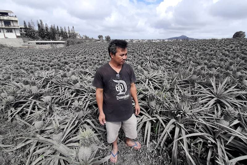 volcano in philippines, philippines volcano, philippines volcano live, philippines volcano 2020, philippines volcano eruption, philippines volcano eruption 2020, philippines volcano map, philippines volcano tourism, philippines volcano active