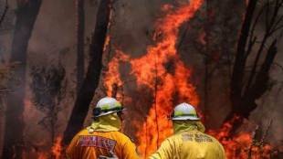 australia, australia bushfire
