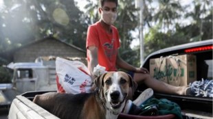 Philippine volcano, Taal volcano, Calabarzon region, Manila, latest news on Philippine volcano 