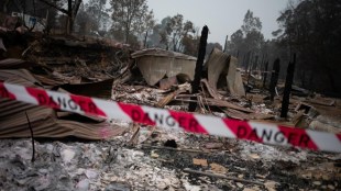 Australia bushfire case, Australia bushfire threat, Brazil, climate change, South Australia, Kangaroo Island, South Carolina