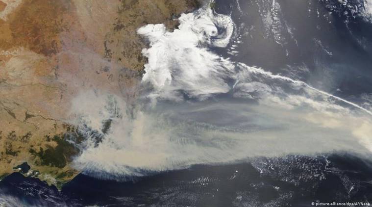 Australia bushfire, australia fire news, australia fire update, australia forest fire news, australia bushfire news, australia bushfire images, australia bushfire animals, australia bushfire update Australia bushfire, australia fire news, australia fire update, australia forest fire news, australia bushfire news, australia bushfire images, australia bushfire animals, australia bushfire update