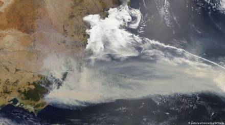 Australia bushfire, australia fire news, australia fire update, australia forest fire news, australia bushfire news, australia bushfire images, australia bushfire animals, australia bushfire update