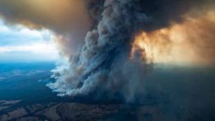 Australia bushfire, Australia wildfire, Australia forest fire, Australia fire news, Australia bushfire animals, Australia fire updates