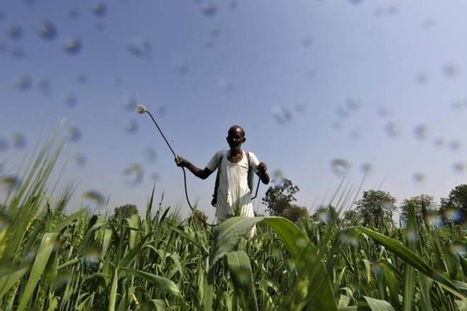 Indications were that the claim-to-premium ratio could be very high in many states, including Maharashtra and Karnataka, for kharif 2019, consequent to the prolonged monsoon rains that damaged key crops like pulses, cotton and soyabean.

