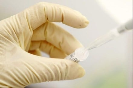 Artificial life, Medicinal bioengineering, xenobots, programmable organisms, xenobot technology, embryonic frog cells