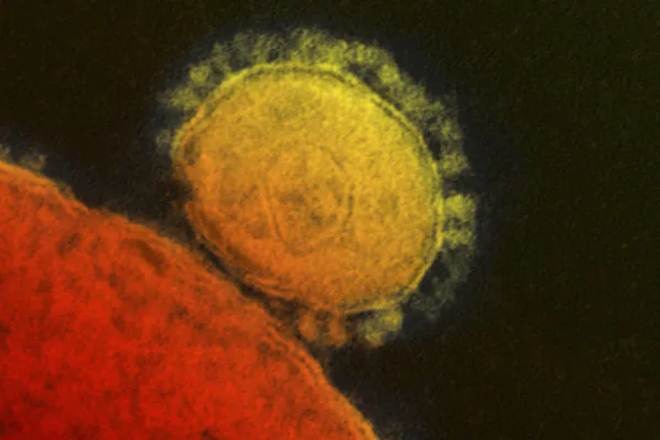 The first case of coronavirus infection outside China was reported from Thailand last Monday. (Reuters)