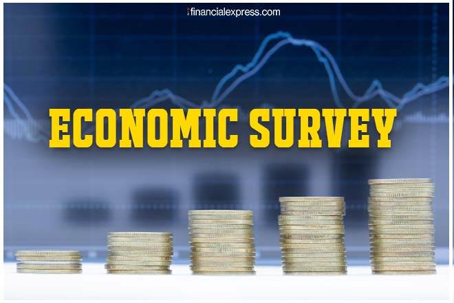 Budget 2020, Union Budget 2020 India, Budget 2020 India, Budget 2020-21, economic survey 2020, ECONOMIC SURVEY 2020, MSME, nirmala sitharaman