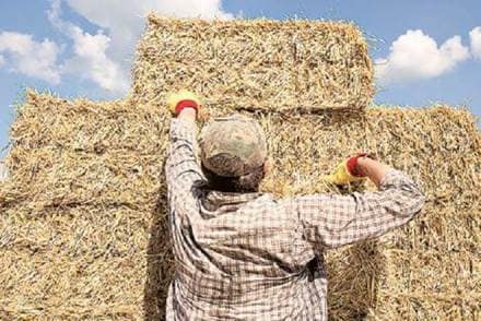 Ethanol delivery season starts from December and ends in November. Ethanol delivery season starts from December and ends in November.