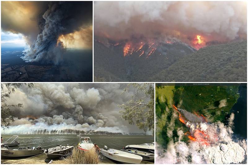 Australia bushfire, Australia fire, Australia bushfire news, Australia bushfire map, Australia bushfire cause, Australia bushfire 2019, Australia bushfire affected areas, Australia bushfire reason, Australia bushfire update, australia wildfire, australia wildfire map