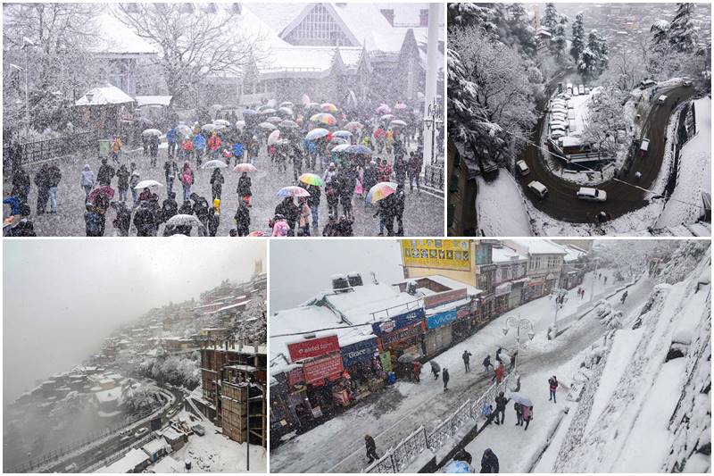 Snowfall in Shimla, shimla, shimla weather, shimla temperature, shimla snowfall, snowfall, snow, shimla tourists, shimla travel