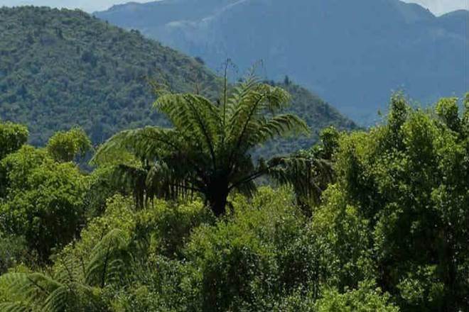 ISFR, protected forest, Forest Survey of India, forest cover, plantations, plantations, ISFR data, Karnataka