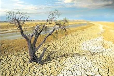Scientists have stressed on the urgent need to do more to counter the warming trend. (Courtesy: PTI photo)