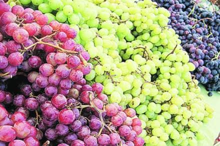 grape, exports