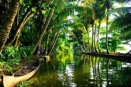 Kerala, top list of most welcoming places, tourism spots, Mararikulam, Thekkady, Kollam, Kerala tourism