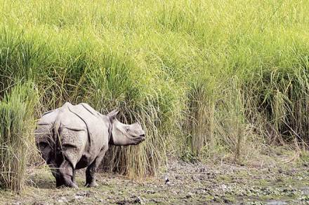 5 trillion dollar economy, economy news, North East, India, goal, Industry news, Act East Policy, Look East Policy