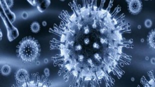 Superbug alert, WHO, antibiotics, drug resistant bacteria, meningitis, tuberculosis, pneumonia, latest news on superbug