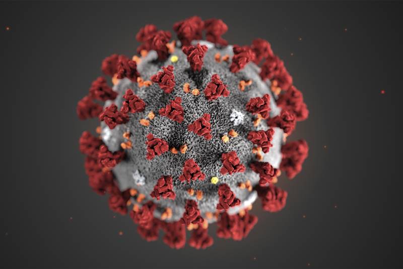 coronavirus, coronavirus india, coronavirus outbeak, coronavirus origin, coronavirus of china, coronavirus outbreak in wuhan