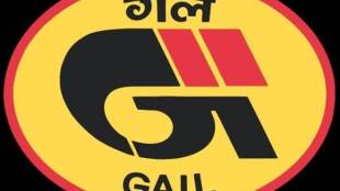 GAIL, LPG, Ebitda, liquid hydrocarbon performance, petchem