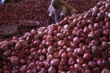 onion, onion price, onion export onion, onion price, onion export