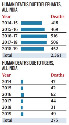 "The government proposes to start a programme whereby urban local bodies across the country would provide internship opportunities to fresh engineers for a period up to one year," the finance minister said.