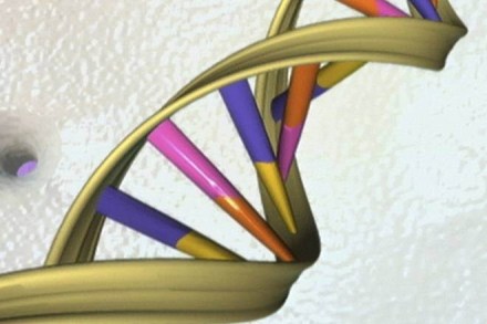 This will enable greater medicinal efficiency in terms of preventive interventions and customised treatments. (Representative image)